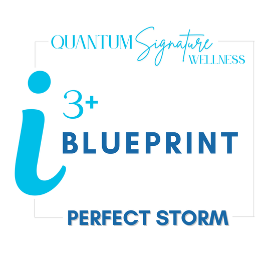 i3+ BLUEPRINT Bootcamp — The Perfect Storm