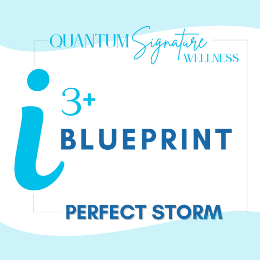 i3+ BLUEPRINT Bootcamp — The Perfect Storm
