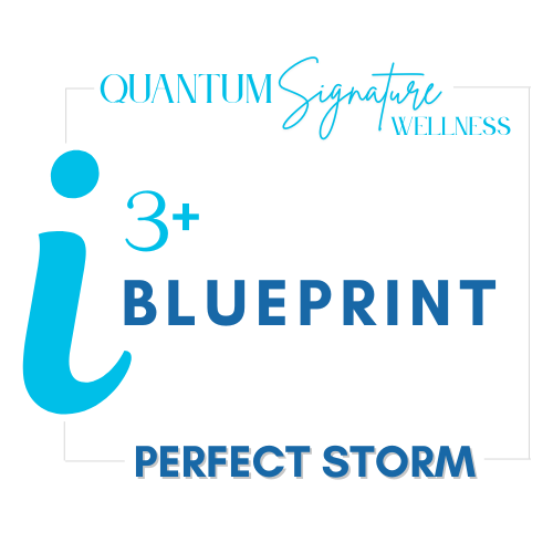BluePrint Bootcamp